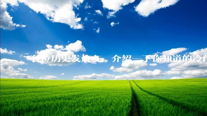 各位历史发烧友，介绍一下你知道的冷门史实或逆天史实？