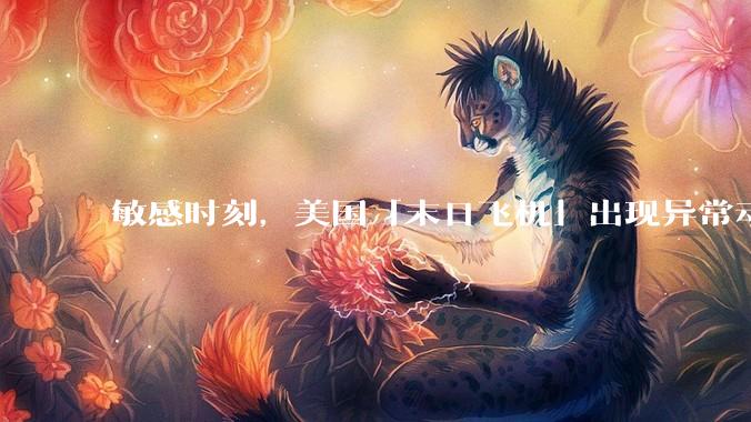 敏感时刻，美国「末日飞机」出现异常动向，出现在华盛顿附近，什么是「末日飞机」？这代表着什么？