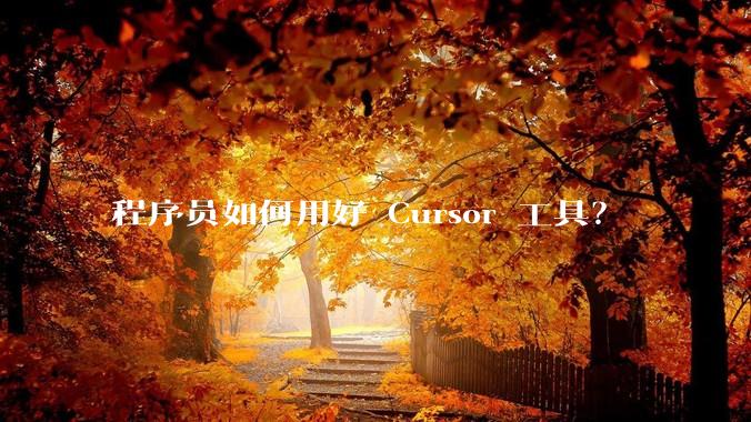 程序员如何用好 Cursor 工具？