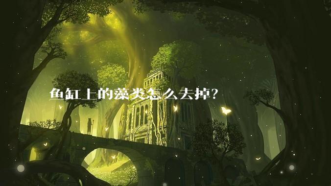 鱼缸上的藻类怎么去掉？
