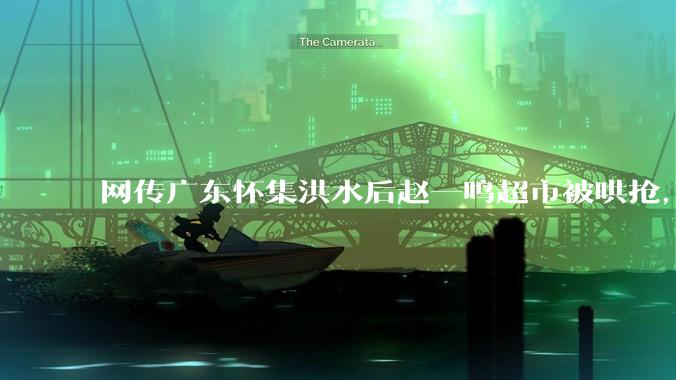 网传广东怀集洪水后赵一鸣超市被哄抢，县***回应相关单位正在核实，若属实哄抢者该承担哪些法律责任？
