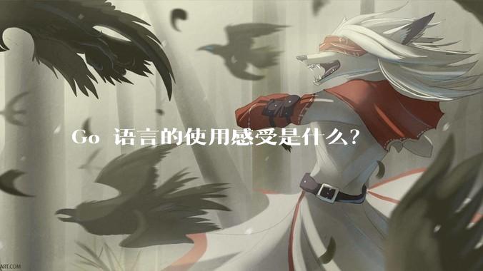 Go 语言的使用感受是什么？