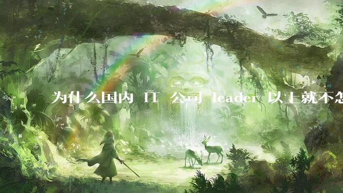 为什么国内 IT 公司 leader 以上就不怎么写代码，而据说 Google 的 Jeff Dean 还写代码？到底哪种情况好呢？