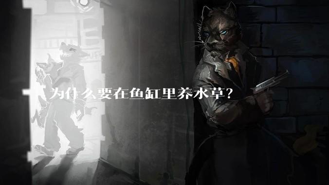 为什么要在鱼缸里养水草？