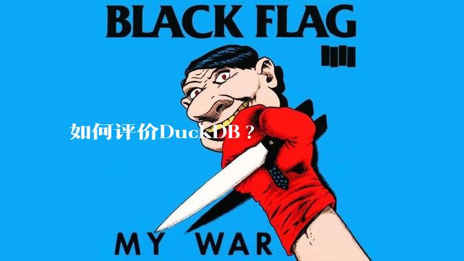 如何评价DuckDB?