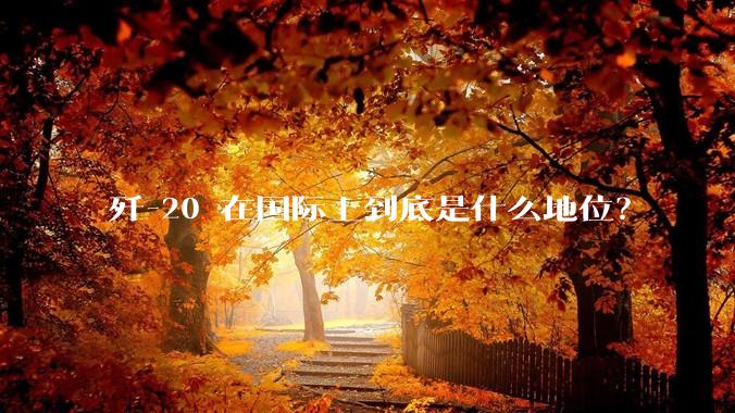 歼-20 在国际上到底是什么地位？