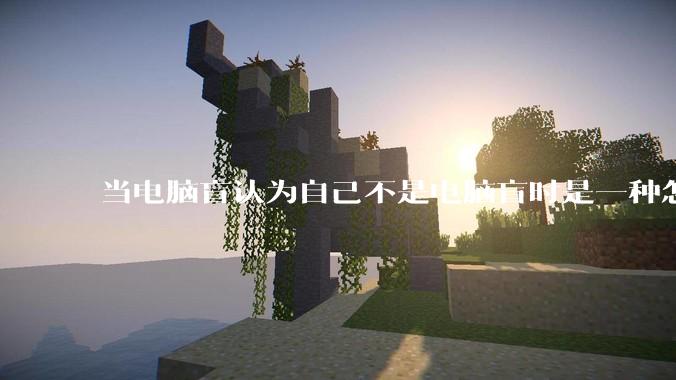 当电脑盲认为自己不是电脑盲时是一种怎样的体验？