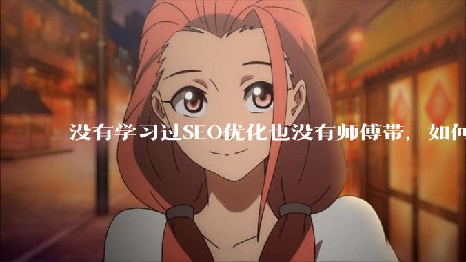 没有学习过SEO优化也没有师傅带，如何网站SEO优化？