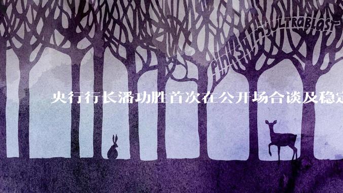 央行行长潘功胜首次在公开场合谈及稳定币，稳定币是什么？有何深意？