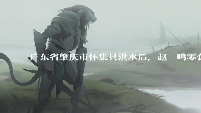 广东省肇庆市怀集县洪水后，赵一鸣零食店被哄抢，物资和收银机里面的几千块钱被哄抢一空，如何评价？