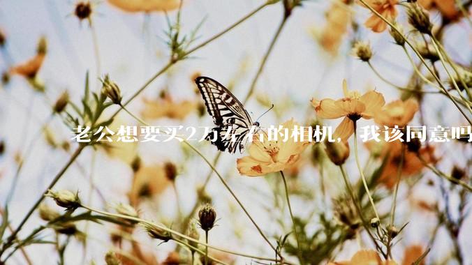 老公想要买2万左右的相机，我该同意吗？