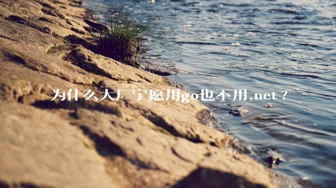 为什么大厂宁愿用go也不用.net?