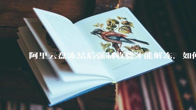 阿里云盘冻结后强制收费才能解冻，如何处理?